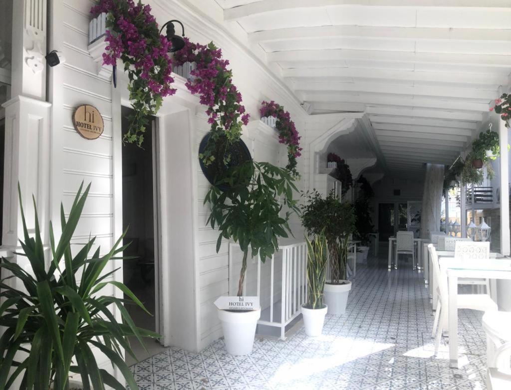 Hi Hotel Ivy Bueyuekada Адалар Екстериор снимка